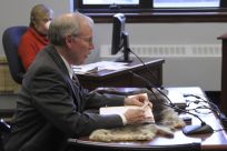 Senator Stedman testifying in the Senate Resources Committee on SB 60 regarding sea otters.