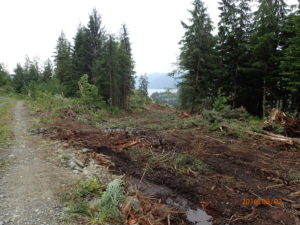Shelter Cove Road construction